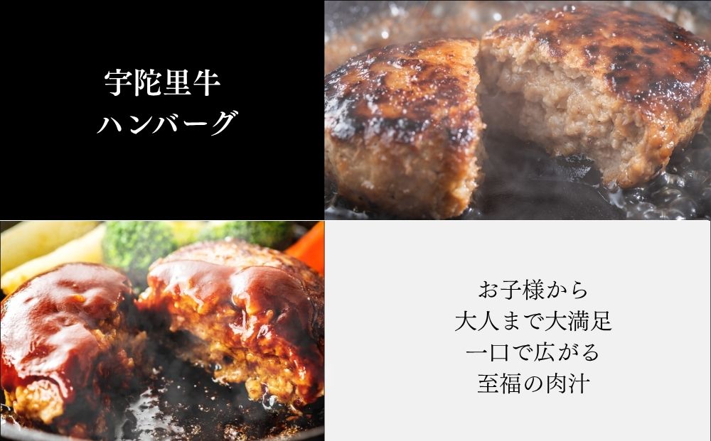 宇陀里牛 BMHセット（ベーコン500g・ミニステーキ2枚・ハンバーグ2個） ／ ふるさと納税 国産 黒毛和牛 牛肉 ステーキ バーベキュー BBQ キャンプ お中元 暑中見舞い お土産 お歳暮 正月