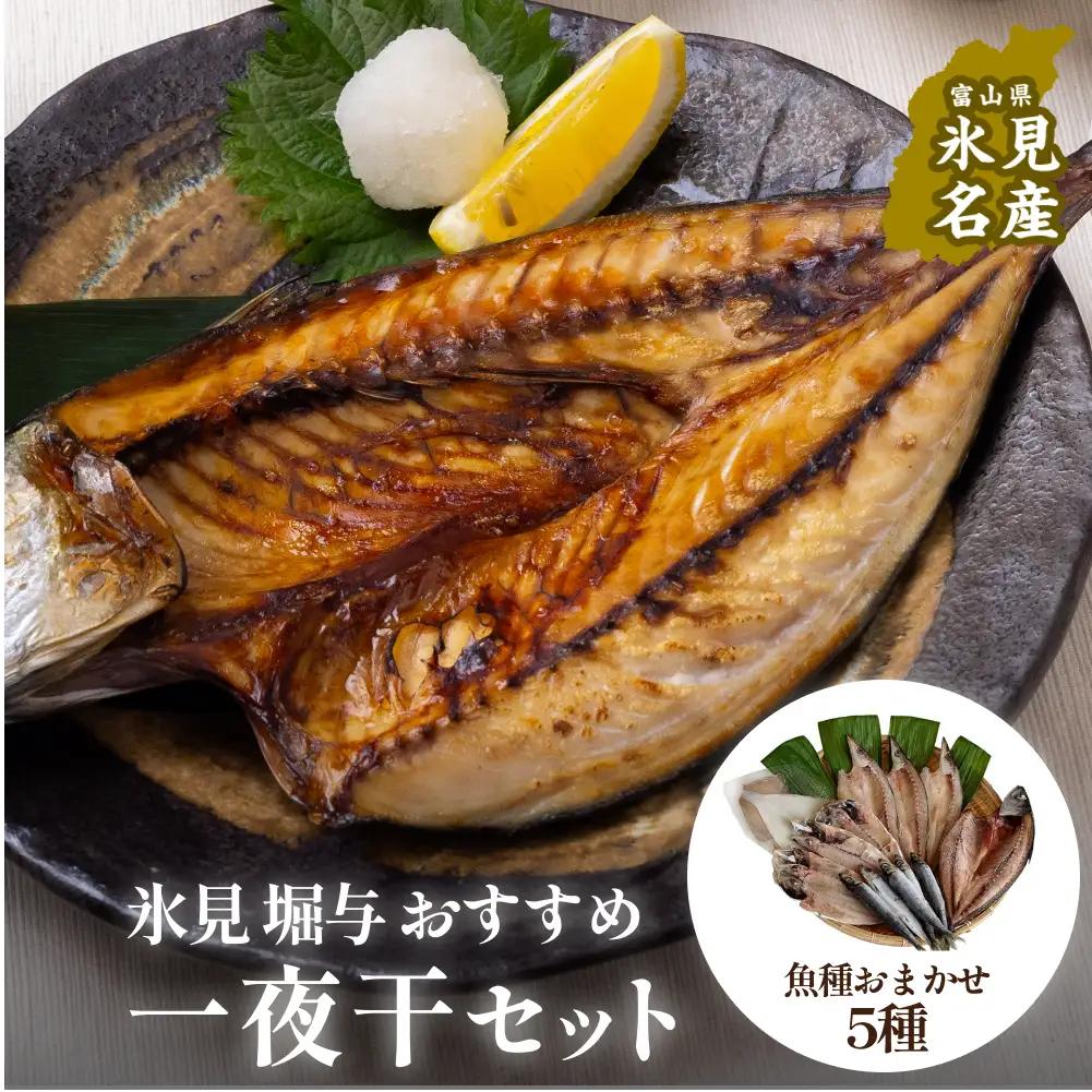 【氷見堀与】 おすすめ一夜干5種セット 〈冷凍〉｜ 一夜干し 詰め合わせ