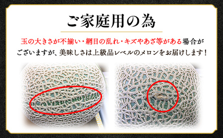 マスクメロン家庭用 3玉入り 一果相伝【 メロン メロン メロン メロン メロン メロン 】 tn-0029