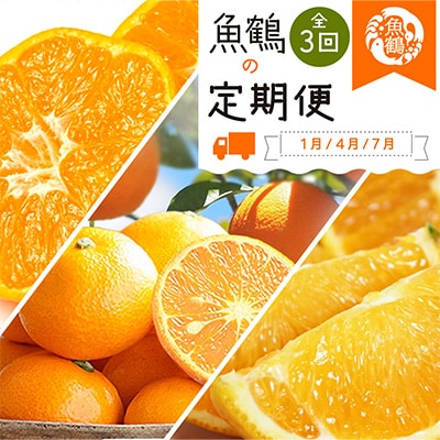 【発送月固定定期便】紀州和歌山産旬の柑橘セット(みかん・なつみ・バレンシア)全3回【配送不可地域：離島】【4011933】