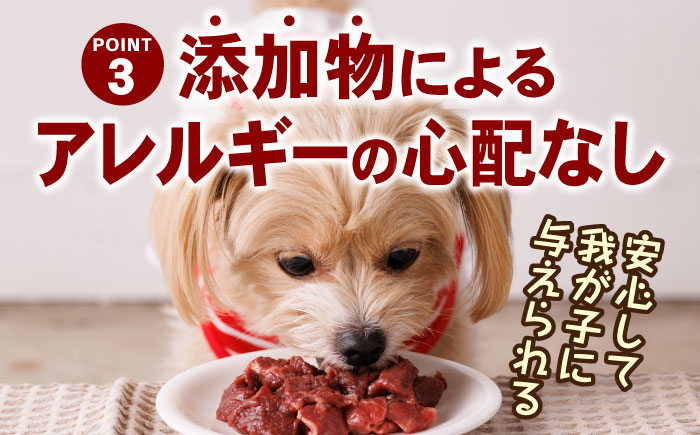 【全3回定期便】国内加工 ペット用 馬肉 切り落とし 1kg ペットフード 【五右衛門フーズ】 [YBZ060]