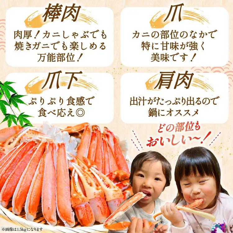 ずわいがに むき身セット 総重量750g かに 蟹 カニ  ◎