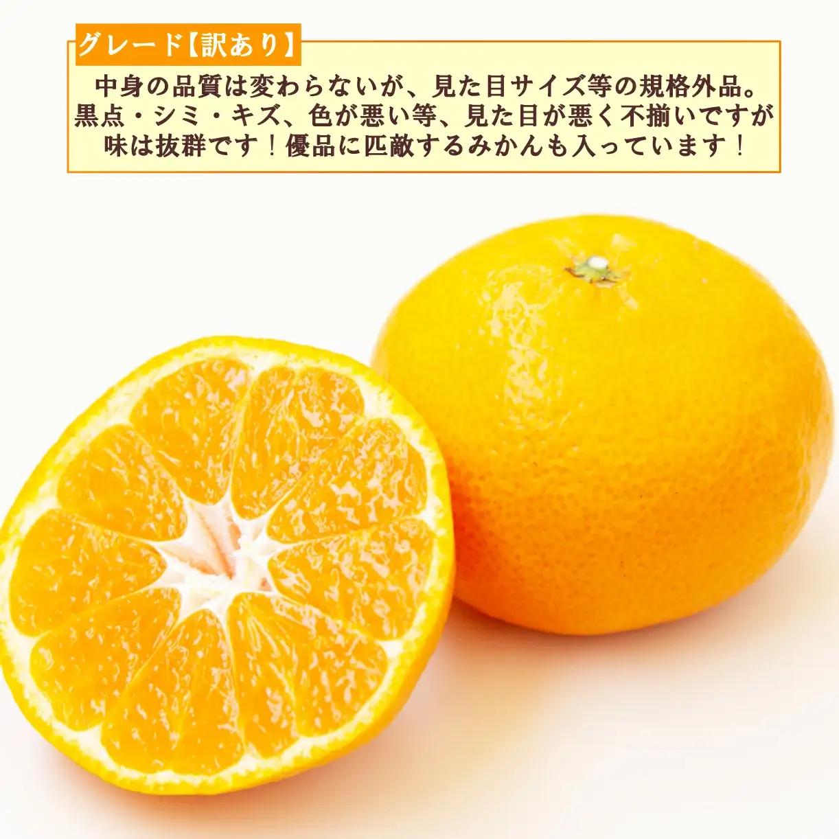 【予約受付】訳あり 由良 みかん 約3kg 産地直送 柑橘 フルーツ 果物 ご家庭用                                                          
