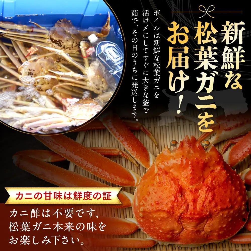 【活】訳あり 松葉ガニ 2枚  　| 松葉 カニ 訳あり活 特大 美味しさに 訳あり 不揃い でないたっぷり ※2026年11月上旬～2027年3月下旬頃に順次発送予定 ※着日指定不可