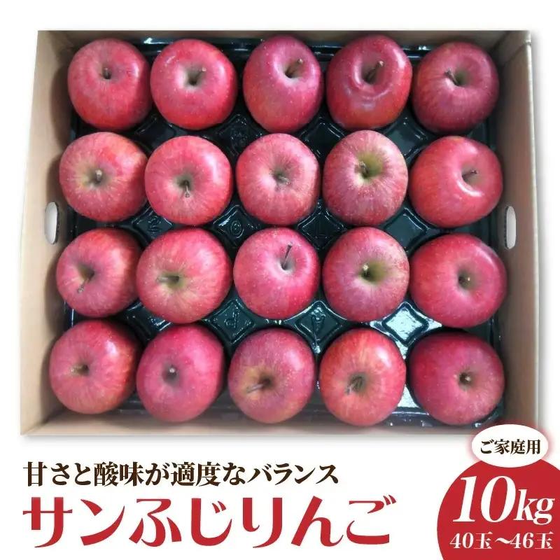 りんご（サンふじ）１０ｋｇ　４０～４６玉　ご家庭用　0056-2633