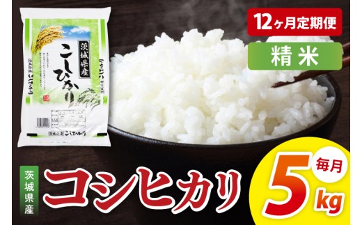 米 定期便 12ヶ月 コシヒカリ 精米 5kg 令和7年産 茨城県産 お米 こめ コメ ごはん 白米 こしひかり 茨城県産米 単一米 単一原料米 安心 安全 送料無料 国産 人気 数量限定 高評価（85-104）