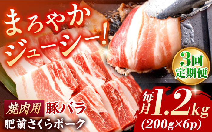 【3回定期便】肥前さくらポーク バラ肉 焼肉用 総計3.6kg / 肥前さくらポーク 豚肉 ブランド豚 バラ 豚バラ 焼肉 BBQ【一ノ瀬畜産】 [NAC604]