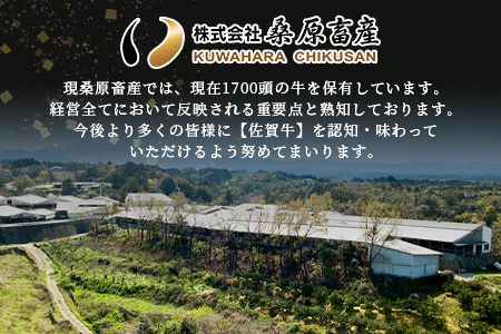 佐賀牛 ロース ステーキ用 500g (2枚入) D-173
