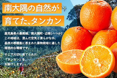【訳あり】《先行予約》南大隅の太陽浴びた甘くて・おいしい タンカン 約5kg【数量限定】<2026年2月中旬以降順次発送> ID-3｜訳あり 訳アリ たんかん タンカン 柑橘 カンキツ 柑橘類 詰め合