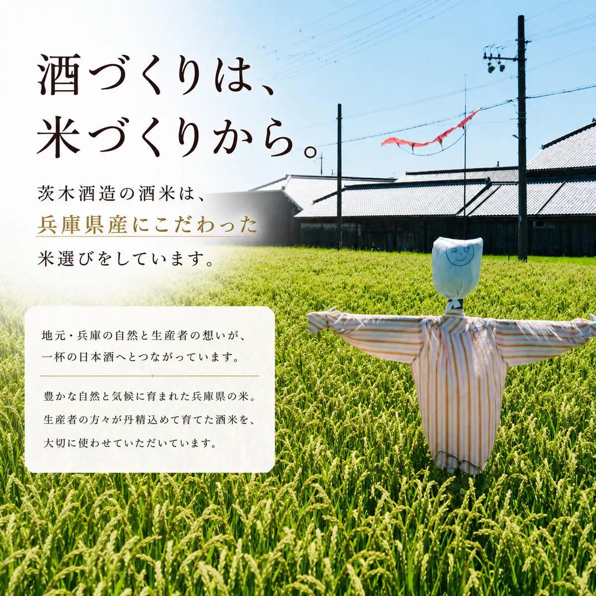 ギフトにも最適な上質セット 茨木酒造（720ml × 各1本 計2本 ） 来楽 すゑひろがり・来楽 花乃蔵 アベリア　酒 お酒 日本酒 飲み比べ セット ギフト プレゼント 兵庫県 明石市