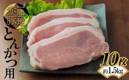 一勝地赤豚 とんかつ用 10枚（約1.5kg）FKP9-525