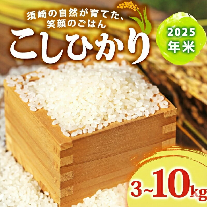 【ふるさと納税】 令和7年産米 コシヒカリ 選べる 3kg 5kg 10kg 産地直送 高知県産 米 白米 ごはん お米 ご飯 精米 産地直送 厳選 白米 米 おにぎり 朝食 夕食 匠 人気 国産 高知県産 須崎市 SDM001