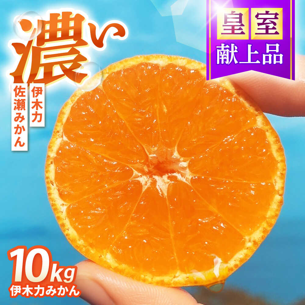 【ふるさと納税】伊木力みかん 10kg / みかん ミカン 佐瀬みかん 伊木力みかん 濃い 温州みかん 薄皮 10kg / 諫早市 /伊佐農園[AHFI016]