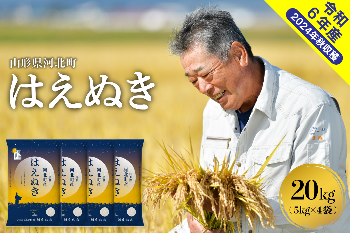 【令和6年産米】2025年4月下旬発送 はえぬき20kg（5kg×4袋） 山形県産【米COMEかほく協同組合】