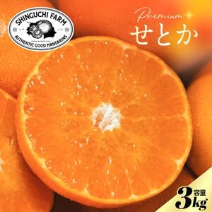 【数量限定】老舗農家が見極めたプレミアム【せとか3kg】柑橘の大トロ【愛媛県川上産】【D70-97】【1671350】