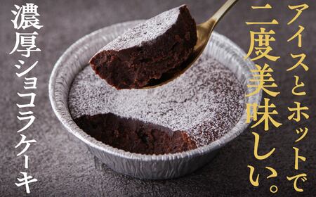 チーズりんごタルト&濃厚ショコラケーキ 計9個セット【飯田川つくし苑】