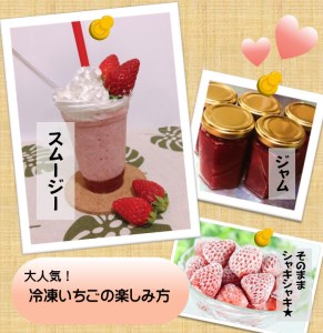 【予約受付】特別賞受賞！完熟冷凍いちご 1kg BabyBerryFarm　【いちご イチゴ  冷凍 冷凍いちご フローズン 紅ほっぺ フルーツ 静岡県産 ふるさと納税  国産 産地直送】