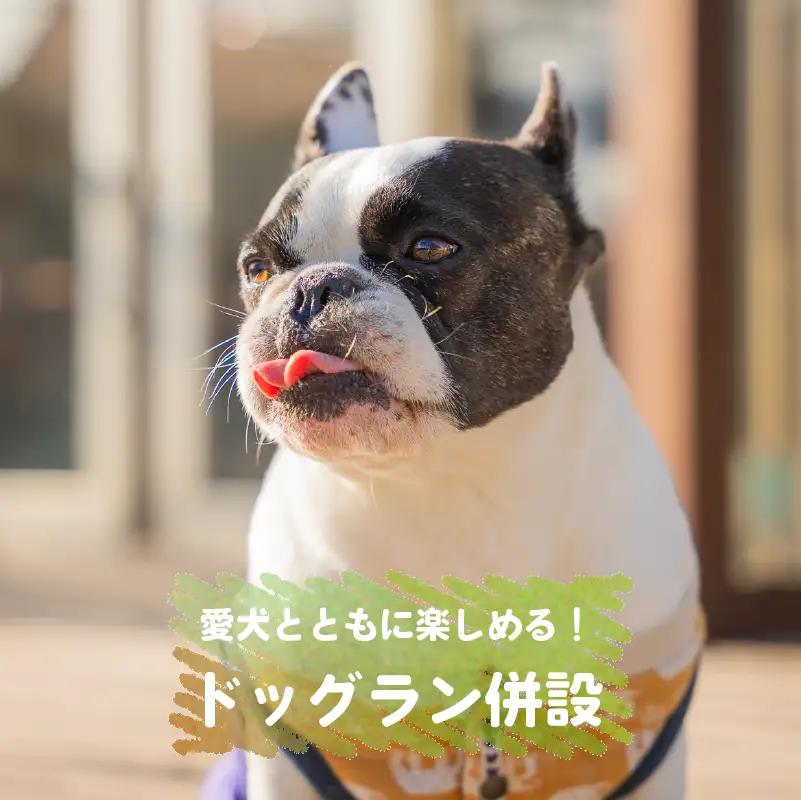 【宿泊チケット】RVパーク グリーンサイト チケット 静岡県 牧之原市 0548プロジェクト