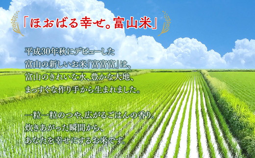 【令和7年度米】【9ヶ月定期便】富山県産米「富富富」20kg（5kg×4袋）（精米）｜9ヶ月定期便 9回 9ヶ月 富富富 ふふふ こめ コメ お米 おこめ 白米 精米 ブランド米 雪解け水 冷めても 美味しい おにぎり お弁当 高品質 魚津市 ※北海道・沖縄・離島への配送不可