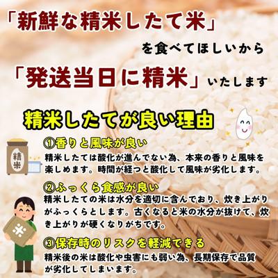 ふるさと納税 盛岡市 ★発送当日精米★盛岡市産銀河のしずく 無洗米 ビタミン強化米入り 5kg 令和6年産 |  | 03