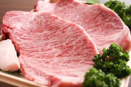 飛騨牛 肉の日 定期便 1年 12回 (12ヶ月)  毎月29日お届け 1年バージョン プレミアム お肉 牛肉 定期便 飛騨市推奨特産品[O0002]