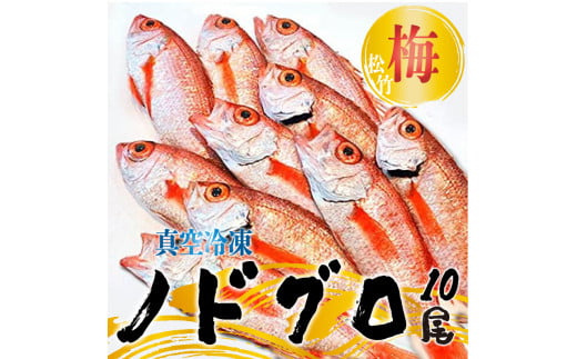 ノドグロ 10尾セット 1尾 約100g以上 新潟 日本海産 高級魚 アカムツ 新鮮 真空 急速冷凍 冷凍 魚介類 日本海 新潟産 国産 松竹梅【梅】