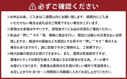 【3回定期便】岡山県産 フルーツ定期便コース （白桃 ・ ニューピオーネ ・ 晴王） 【2026年7月上旬発送開始】 ／ 3回 桃 もも 葡萄 ぶどう シャインマスカット マスカット 果物 果実 フル
