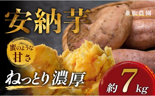 さつまいも 熟成 安納芋 約7kg 焼き芋 焼芋 やきいも ねっとり 濃厚 蜜芋 芋 おいも サツマイモ さつま芋 安納いも スイーツ おやつ 国産 産地直送 栽培期間中農薬不使用 高知県 大月町産