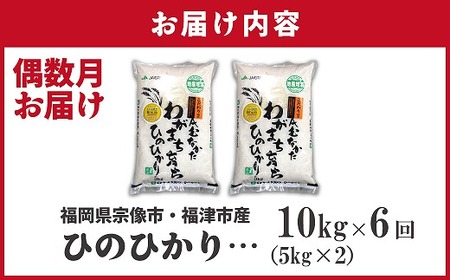 【米定期便】【年6回偶数月】【2027年2月発送開始】JAよりお届け！「ひのひかり」10kg（5kg×2袋）×6回 計60kg[H5102]