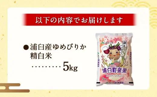 〈 令和8年産 〉 浦臼産ゆめぴりか 精白米 5kg × 1袋 お米 米 こめ コメ 白米 白飯 飯 ご飯 おにぎり 国産 北海道産 ブランド米 ブランド 粘り タンパク質 艶 【 2026年10月下