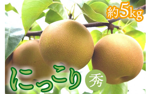 14-8【期間限定】梨（にっこり）秀　約5kg（7玉程度） ｜ なし フルーツ 果物 新鮮 デザート　※2026年10月～発送