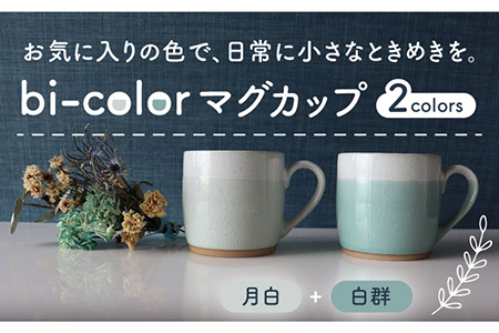 【美濃焼】bi-colorマグカップ 2色セット (月白・白群)【山二製陶所】 食器 マグカップ マグ コーヒーカップ ティーカップ コップ カップ 焼き物 陶磁器 美濃焼 食器セット ペア おしゃれ かわいい シンプル 送料無料 白 ホワイト 青 ブルー   [MDA006]