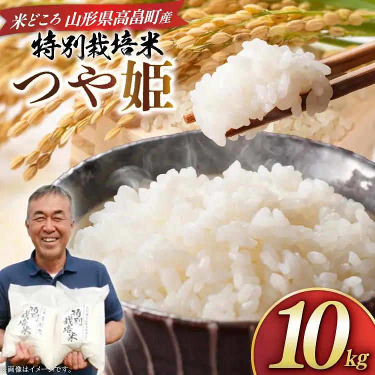 米 令和8年度産 特別栽培米 つや姫 10kg [渡部ファーム 山形県 高畠町 tk06ays810031]