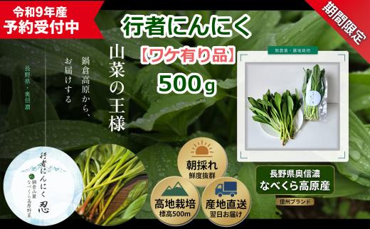 【令和9年産先行予約】＼訳あり／行者にんにく 忍 500g入り 1箱（70～75枚）《出荷時期：2027年5月中旬頃〜》株式会社ForestDoor｜長野県 飯山市 信州 新鮮 直送 山菜 ビタミン 