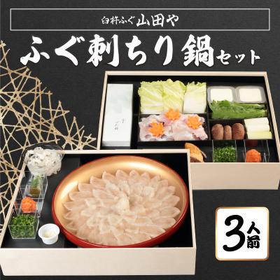 ふるさと納税 大分市 臼杵ふぐ山田や ふぐ刺・ちり鍋セット 3人前_E05016