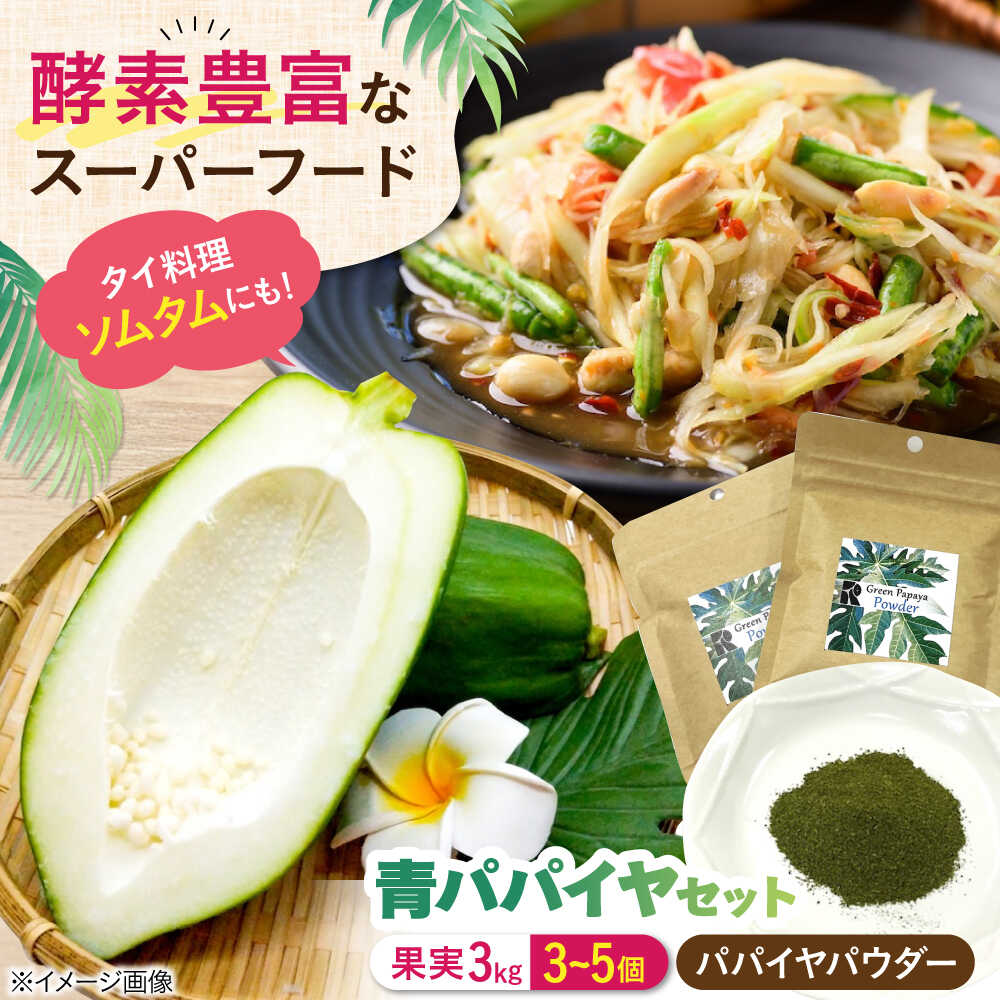 【ふるさと納税】パパイヤ 青パパイヤ果実とパウダーセット 滋賀県長浜市/株式会社ロハス長浜[AQAP006] パパイヤ 青パパイヤ 野菜 果物 野菜パウダー パウダー 果実 セット タイ料理 人気 おすすめ 滋賀県 長浜市