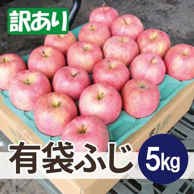 【26年5月出荷予定】平均糖度13度以上! 有袋ふじ 約5kg 訳あり CA貯蔵 クール便【配送不可地域：離島・沖縄県】【1613039】