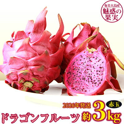 【ふるさと納税】2026年発送【奄美大島産】魅惑の果実・ドラゴンフルーツ(赤玉)約2kg 鹿児島県 奄美群島 奄美大島 龍郷町 国産 奄美産 青果 果実 果物 くだもの フルーツ デザート ピタヤ 火龍果 南国 トロピカル お取り寄せ 先行予約 期間限定 数量限定
