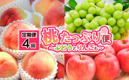 【定期便4回】桃たっぷり便～ぶどうとりんごも～ 【令和8年産先行予約】FS25-689 くだもの 果物 フルーツ 山形 山形県 山形市 2026年産