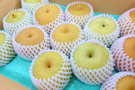 【2026年先行予約】 たかはし果樹園 謹製 新潟県産和梨 内容おまかせ詰め合わせ 約5kg《9月上旬～順次配送》