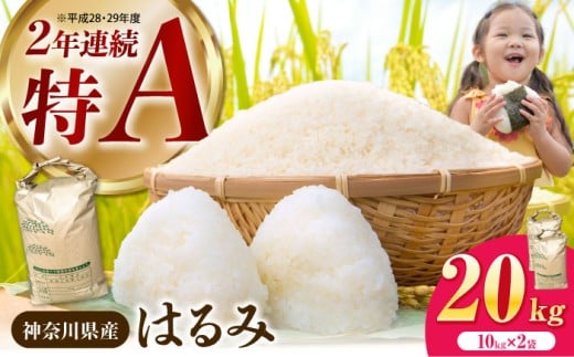【令和7年産】はるみ 白米 20kg(10kg×2袋) 【井上農園】 米 お米 白米 米 精米 白米 はくまい こめ はるみ 精米 ブランド米 国産 おこめ 精米 R7 ご飯 ごはん 神奈川県 開成町産 【特Aランク受賞実績あり！】[BDBB004]