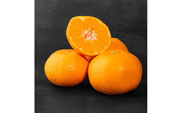 【まごころ手選別】和歌山産有田のはるみ　約6kg(家庭用) ※2026年1月下旬～2月下旬頃より順次発送予定