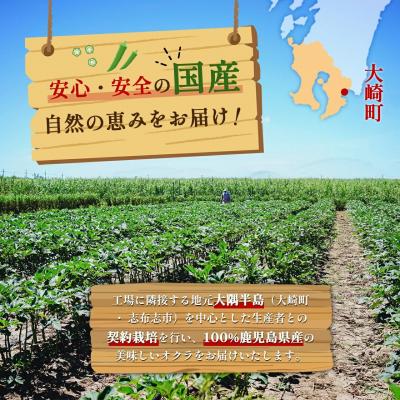 ふるさと納税 大崎町 冷凍ブロッコリー6袋&冷凍オクラ4袋セット |  | 01