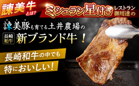 【特Aのブランド米で育てた】諫美牛 肩ロースステーキ 400g(200g×2) / 牛肉 ぎゅうにく 和牛 肉 焼肉 国産 ロース ろーす ステーキ すてーき / 諫早市 / 株式会社土井農場[AHA