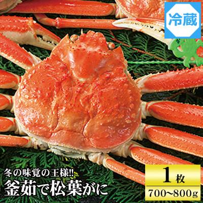 ふるさと納税 養父市 兵庫県香住産　釜茹で松葉ガニ【11月中旬以降発送】