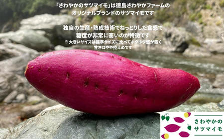 【予約受付中・2025年10月頃より順次発送】さわやかのサツマイモ 大きいサイズ 9kg 