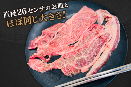 AB018　【3ヶ月連続お届け】いわて牛肩ロースカルビ焼肉600ｇ