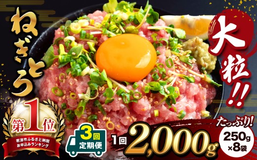 【 定期便 3回 】 ネギトロ 2000g（250g 小分け × 8袋 ） | 大人気！ 清幸丸水産 ねぎとろ とろ 鮪 マグロ まぐろ たたき まぐろのたたき 軍艦巻 海鮮 海鮮丼 魚介 魚 人気 小分け ユッケ 人気 定番 ご飯 オススメ 千葉県 君津市 きみつ