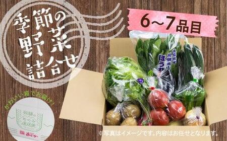 【2024年予約受付】飛騨 野菜セット 6～7点  飛騨高山産 野菜  秋野菜 おまかせ お取り寄せ 新鮮 産地直送 飛騨産 夏  秋 秋野菜  サラダ     あじか TR3076