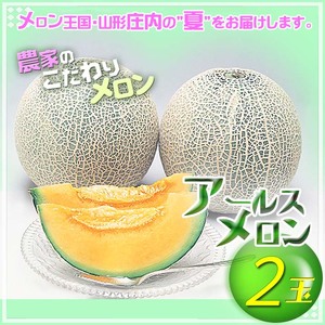 【8月より順次発送】アールスメロン 大玉2玉（入金期限：2026.7.20）